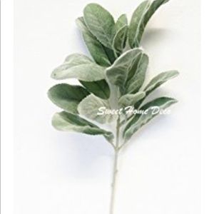 Meet your Posher, Rob